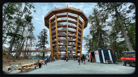 Malahat Skywalk Slide Adventure | Vancouver Island | Victoria BC - YouTube