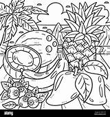 Simple Tropical Rainforest Coloring Page Pages sketch template