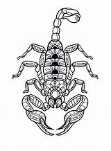 A Giant Scorpion Coloring Page  Free Printable Pages sketch template