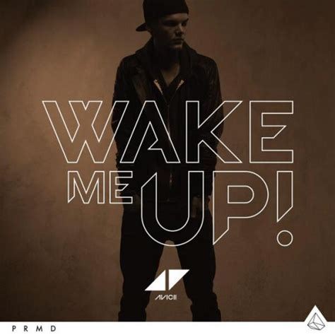 Avicii - Wake Me Up! - Reviews - Album of The Year