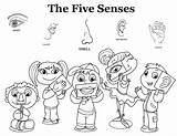 5 Senses Coloring Sheet sketch template