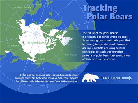 Teachers' Domain: Tracking Polar Bears - visual design - wise*design