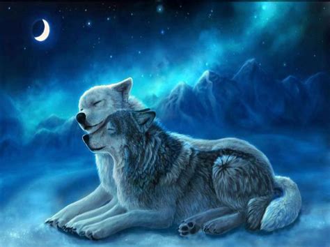 Wolves in Love Wallpapers - WallpaperSafari