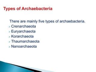 Archaebacteria | PPT