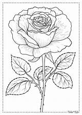 Rose Coloring Pages Free Printable PDFs  WakeTheKids sketch template