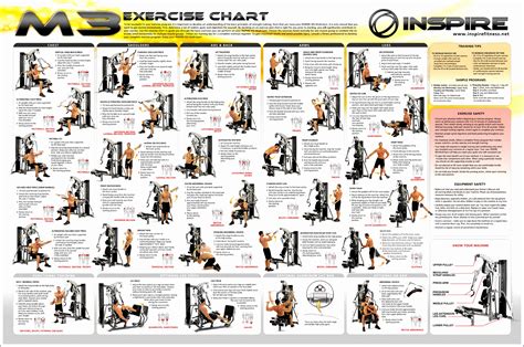 25 Unique Bodybuilding Exercises