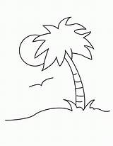 Palm Tree Coloring Page  Widetheme Home sketch template