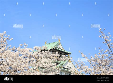 Osaka Castle and cherry blossoms Stock Photo - Alamy