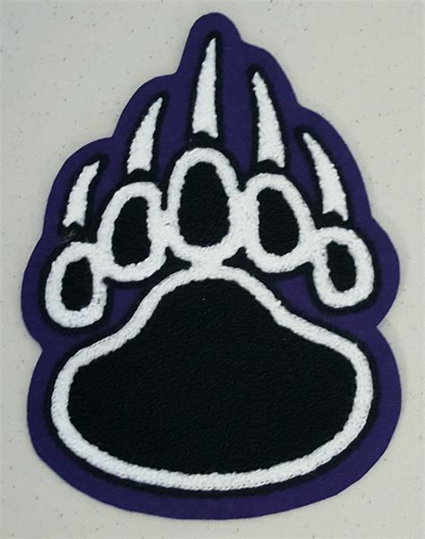 MESA RIDGE HIGH SCHOOL MASCOT PATCH