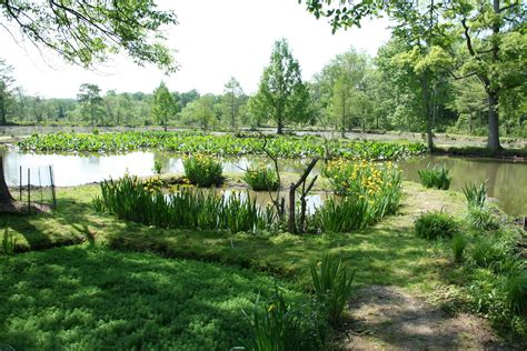 Love, Joy and Peas: Kenilworth Park & Aquatic Gardens Photos