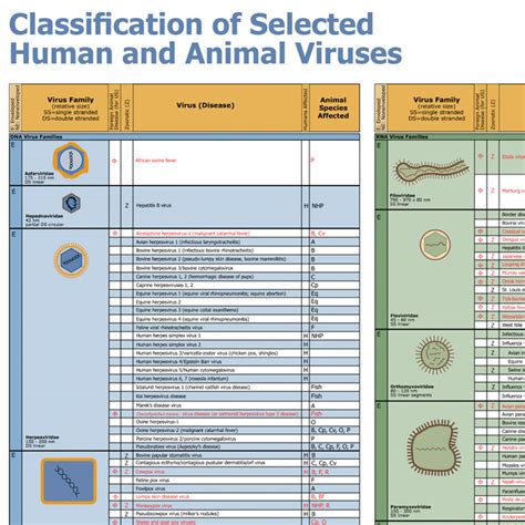 Wallchart: Classification of Selected Human and Animal Viruses - CFSPH