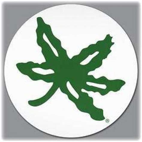 ohio state buckeye leaf sticker #UltimateTailgate #Fanatics | Buckeye leaf, Ohio state, Ohio ...