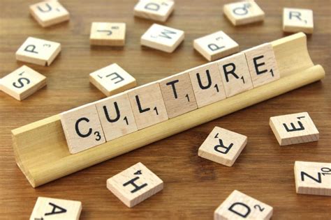 Cultural Competence – Introduction to Human Services