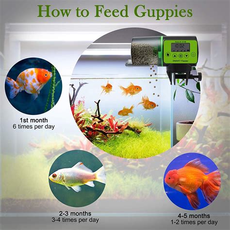 【Large Capacity 200ML Fish Food Dispenser】Large 200ml capacity of the automatic fish feeder is ...