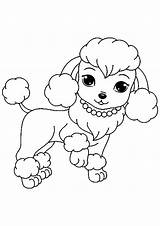 Dog And Collar  Coloring Pages sketch template