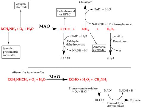 Molecules | Free Full-Text | Assessment of Enzyme Inhibition: A Review with Examples from the ...