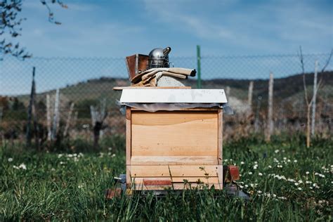 8-Frame vs 10-Frame Beehives: Which to Choose? | Beekeeping Learning Center | Dadant & Sons 1863