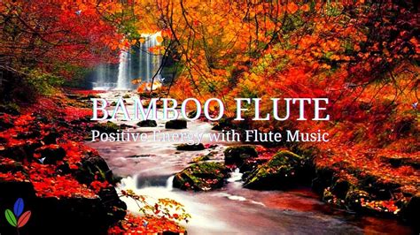 Bamboo Flute Music | Positive Energy| (बाँसुरी) | Flute Music ...