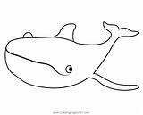Gray Whale Coloring Page sketch template