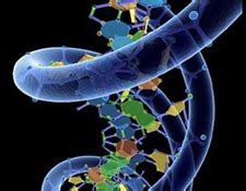 Science Information | Fields of Biology | Tech Hydra