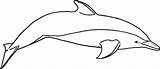 Dolphin coloring Pages Download And Print For free sketch template