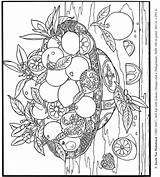 Welcome to Dover Publications  Detailed coloring Pages Dover sketch template
