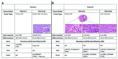 Histological and molecular features of the tumor tissues analyzed from... | Download Scientific ...