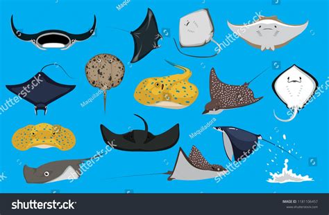 Various Cute Ray Stingray Cartoon Vector Characters #Ad , #Sponsored, #Stingray#Ray#Cute# ...