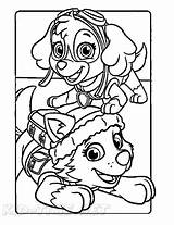 Paw Patrol Everest Coloring Book Page sketch template