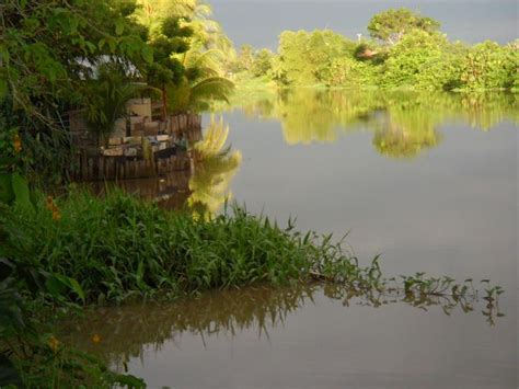 Paramaribo | South america, Caribbean, Coast