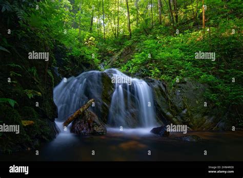 Mountain spring streams waterfall Stock Photo - Alamy