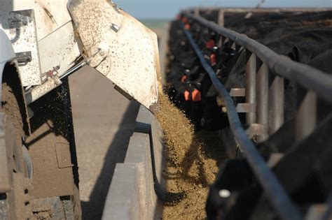 Feed Composition Tables: How to use the 2017 data to mix the best feed