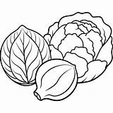 Brussels sprouts Cabbage Zucchini Vegetables Outline coloring book Page  sketch template