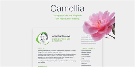 View Free Resume Templates Of Sleek Resume Template C - vrogue.co