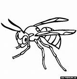 Wasp Coloring Page  Free Online Insect sketch template