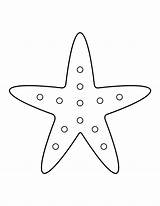 Printable Starfish Coloring Page sketch template