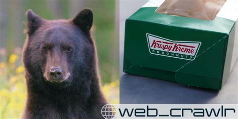 Daily Dot Newsletter: Bears Gorging On Krispy Kreme