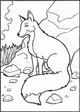 Free Printable Fox Coloring Pages For Kids sketch template