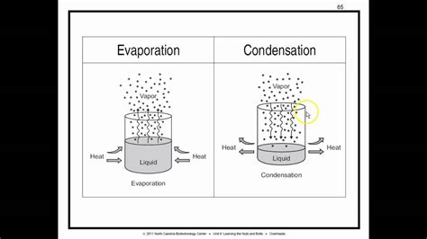 Biowork 6p137-151 Heat Transfer, Evaporation, Condensation, Stripping ...