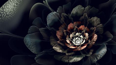 Black Flowers Wallpapers - Wallpaper Cave