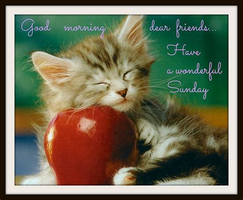 Good Morning Wishes On Sunday Pictures, Images - Page 16