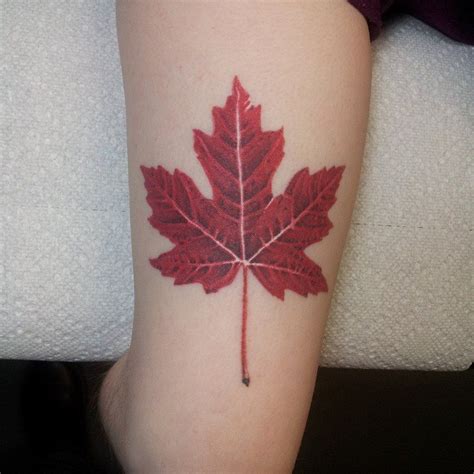 Pin by Carol Troughton on tattoos | Maple leaf tattoos, Tattoos with meaning, Maple leaf tattoo