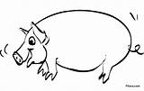 Domestic Animals Coloring Pages  Pitara Kids Network sketch template