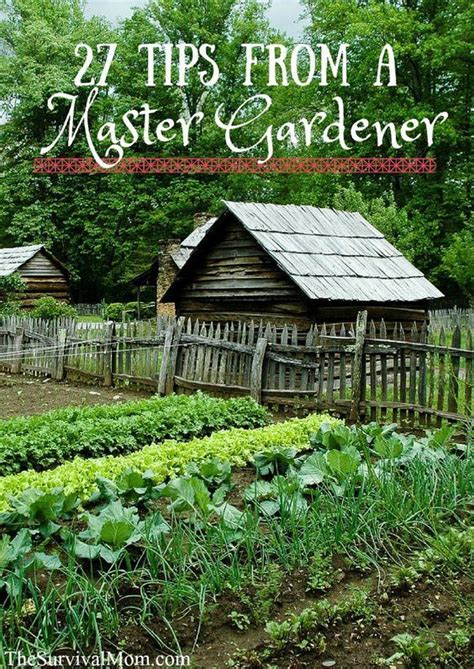 27 Tips from a Master Gardener - Survival Mom | Garden planning, Master gardener, Veggie garden