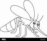 Fly Coloring Page sketch template