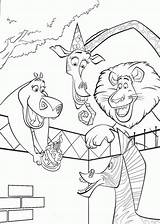 Coloring Pages  For Kids Madagascar sketch template
