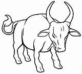 Ox Coloring Pages  Free Printable For Kids sketch template