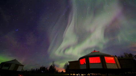 Aurora Dinner Tour - GoNorth Alaska