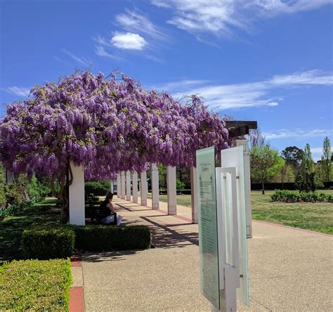 OLD PARLIAMENT HOUSE GARDENS (2024) All You Need to Know BEFORE You Go (with Photos)