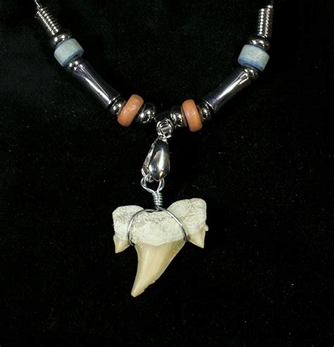 Authentic Fossil Shark Tooth Necklace For Sale - FossilEra.com